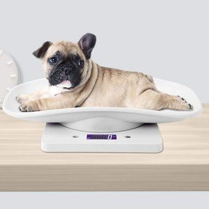 10kg/1g Digital Portable Pet Baby Weight Scale
